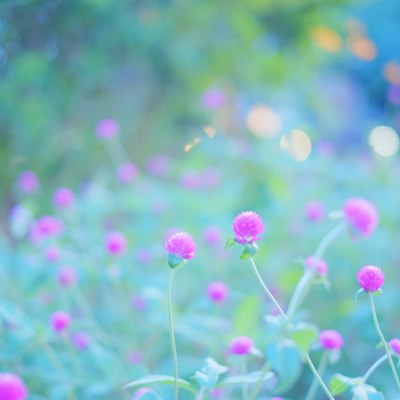 mamsy967's tweet photo. 今朝、いつもの通勤路でミミズクが止まってるの見つけた。こんなとこにいるんだ…って思ったら癒された🦉 https://t.co/J6aMRh7ONd