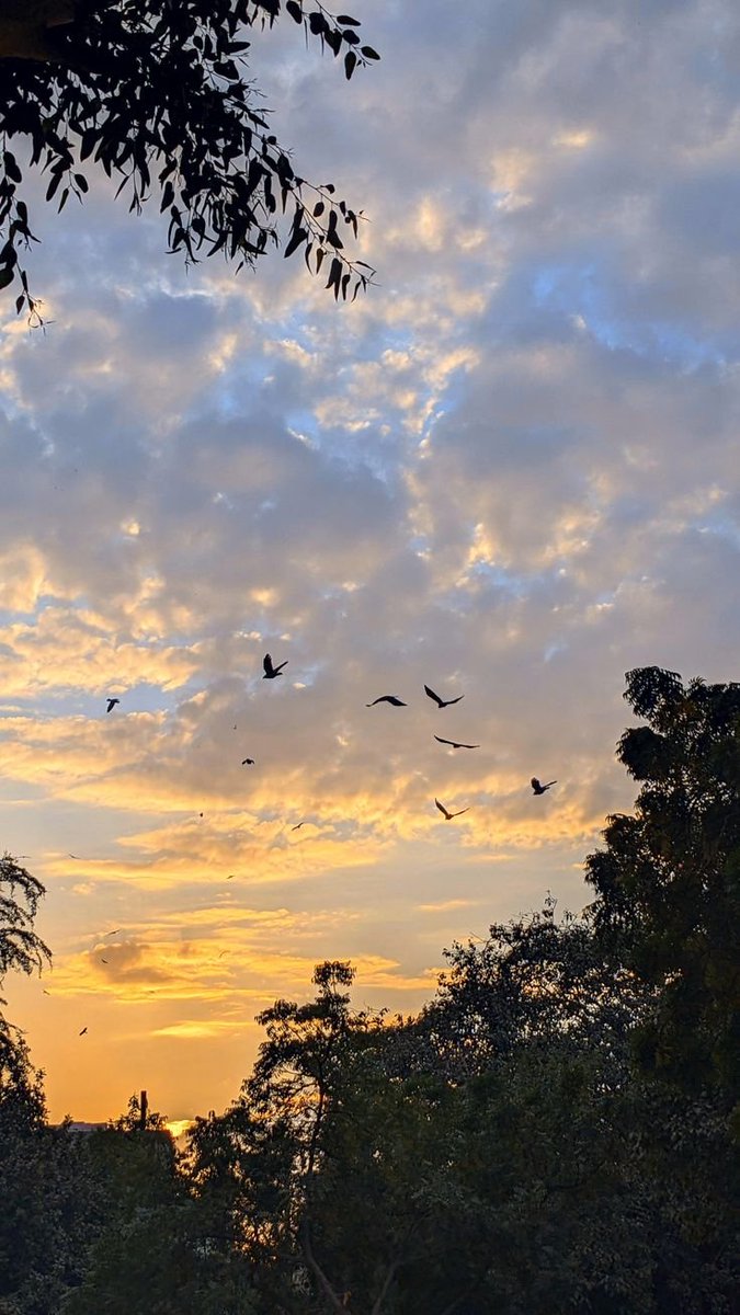 Ananwa0's tweet photo. 𝗠𝗮𝘆 𝗚𝗼𝗱 𝗴𝘂𝗶𝗱𝗲 𝘆𝗼𝘂𝗿 𝘀𝘁𝗲𝗽𝘀, 𝗽𝗿𝗼𝘁𝗲𝗰𝘁 𝘆𝗼𝘂 𝗮𝗻𝗱 𝘆𝗼𝘂𝗿 𝗹𝗼𝘃𝗲𝗱 𝗼𝗻𝗲𝘀, 𝗽𝗿𝗼𝘃𝗶𝗱𝗲 𝗳𝗼𝗿 𝘆𝗼𝘂𝗿 𝗻𝗲𝗲𝗱𝘀, 𝗮𝗻𝗱 𝗯𝗹𝗲𝘀𝘀 𝘁𝗵𝗲 𝘄𝗼𝗿𝗸 𝗼𝗳 𝘆𝗼𝘂𝗿 𝗵𝗮𝗻𝗱𝘀. 𝗠𝗮𝘆 𝘁𝗼𝗱𝗮𝘆 𝗯𝗿𝗶𝗻𝗴 𝘆𝗼𝘂 𝗽𝗲𝗮𝗰𝗲 𝗮𝗻𝗱 𝗴𝗼𝗼𝗱 𝗻𝗲𝘄𝘀 https://t.co/2ecgVxYn8X