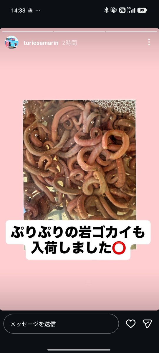 repti1029's tweet photo. つりえさ倶楽部マリンのインスタ
メロジョイ、ボンドロ、石ゴカイの3段活用草 https://t.co/t70mmBBrNx