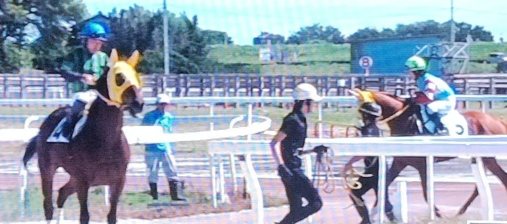 yokohama3982111's tweet photo. ボッチョ(５番)豪快に差し切り初勝利、ファン大歓声🤩松本一心騎手「前が流れて展開向いた。真面目に走ってくれた」ゴールで「声援聞こえた」😀スティルアイライズ(４番)８着。人気馬と知��ず騎乗した丸野騎手「無事完走、良かった」😀
#笠松競馬
#ボッチョ　
#スティルアイライズ
#まめちゃん https://t.co/laj2JGXCwQ