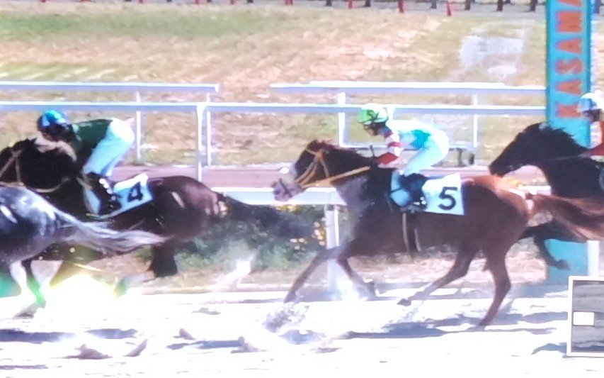 yokohama3982111's tweet photo. ボッチョ(５番)豪快に差し切り初勝利、ファン大歓声🤩松本一心騎手「前が流れて展開向いた。真面目に走ってくれた」ゴールで「声援聞こえた」😀スティルアイライズ(４番)８着。人気馬と知��ず騎乗した丸野騎手「無事完走、良かった」😀
#笠松競馬
#ボッチョ　
#スティルアイライズ
#まめちゃん https://t.co/laj2JGXCwQ