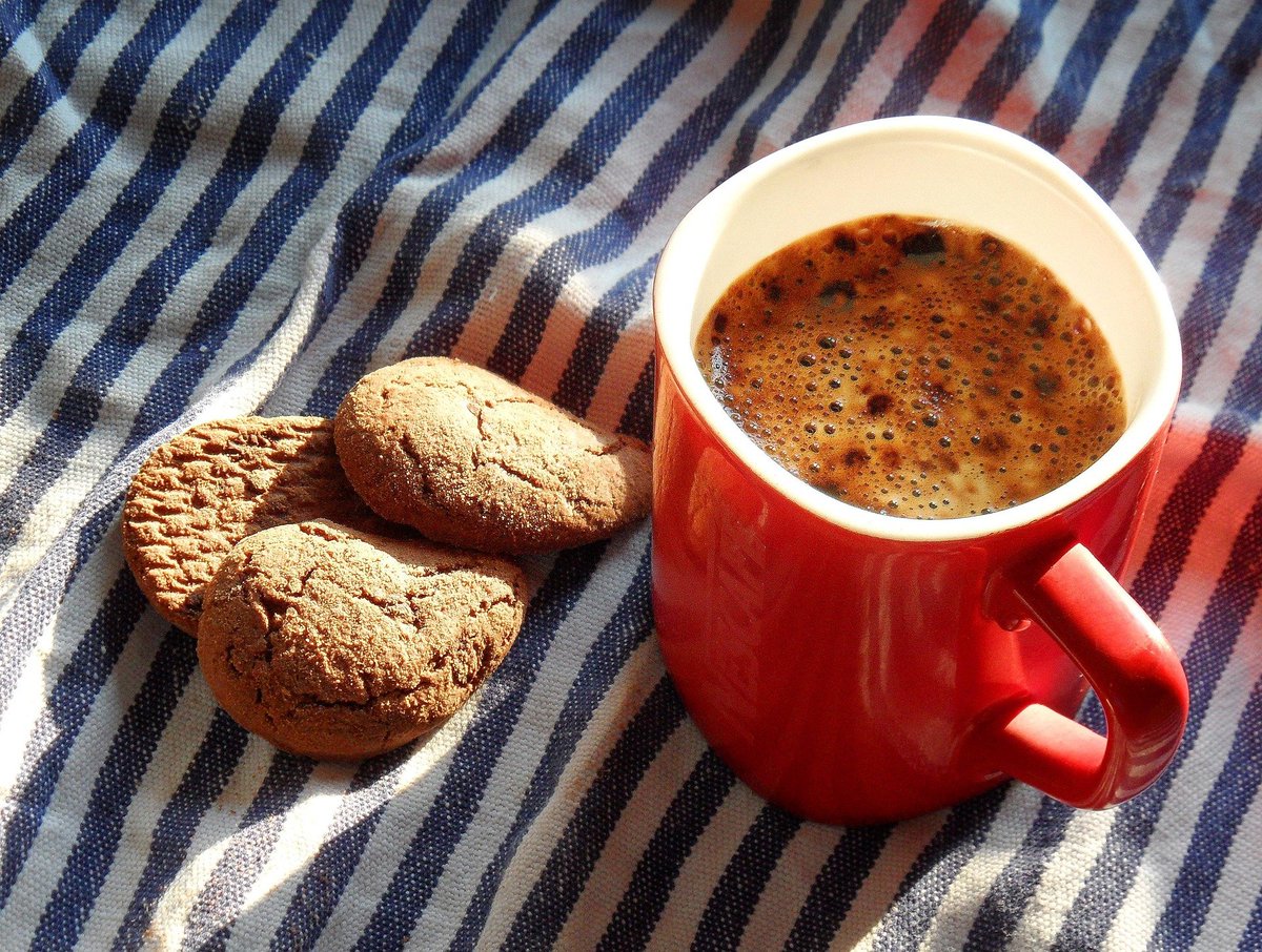 NiePoMysli's tweet photo. Nie wracaj do czegoś tylko dlatego, że kiedyś było ważne. Najpierw przypomnij sobie, dlaczego przestało działać. 

#MorningCoffee https://t.co/fKSHvu8UJm