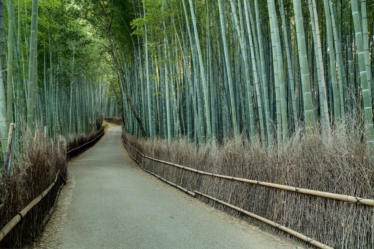 FieldNotesJapan tweet picture