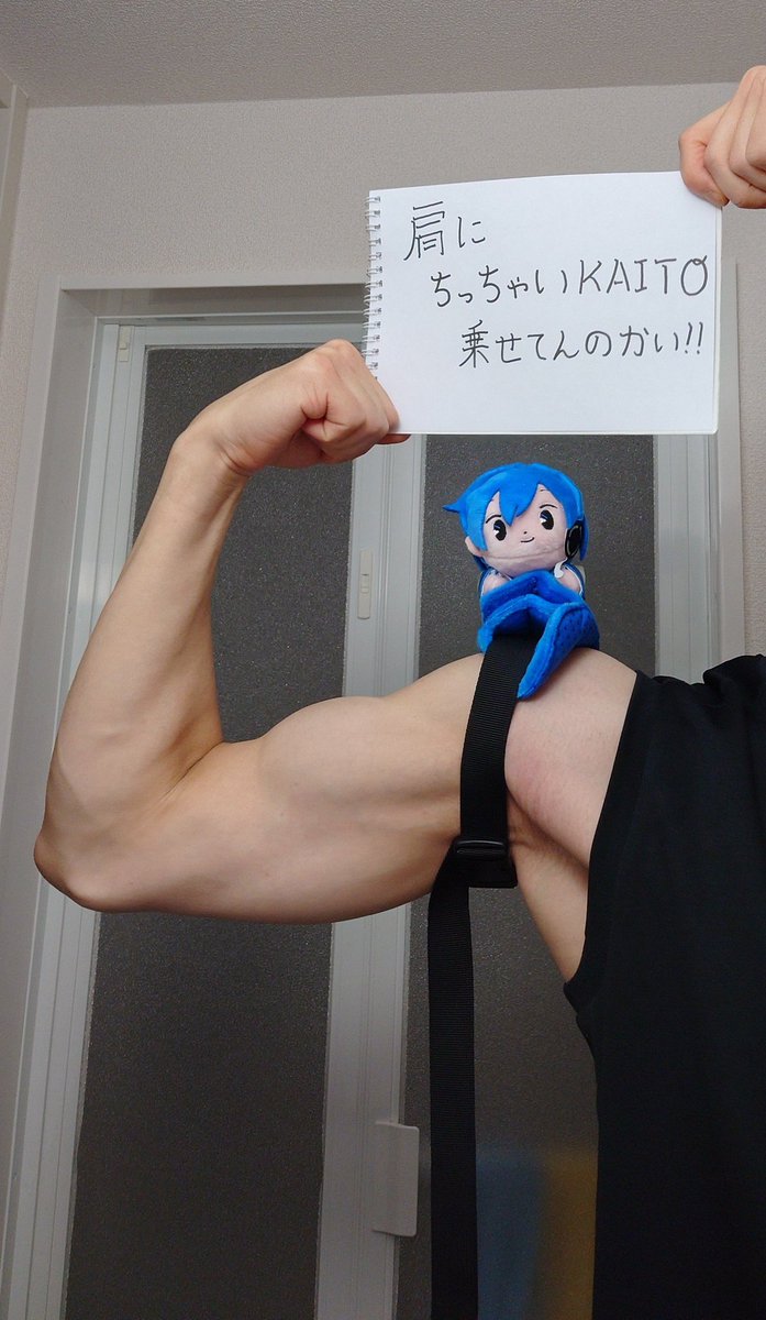 hatukosu's tweet photo. 肩にｨ！！！！！！
ちっちゃいKAITOｫ！！！！
乗せてんのかぁ〜いｯ！！！！！！

ほら笑って…笑えよ…良い年したおっさんが身体を張ってるんだ…笑ってくれ… https://t.co/hXZQIRL4mw