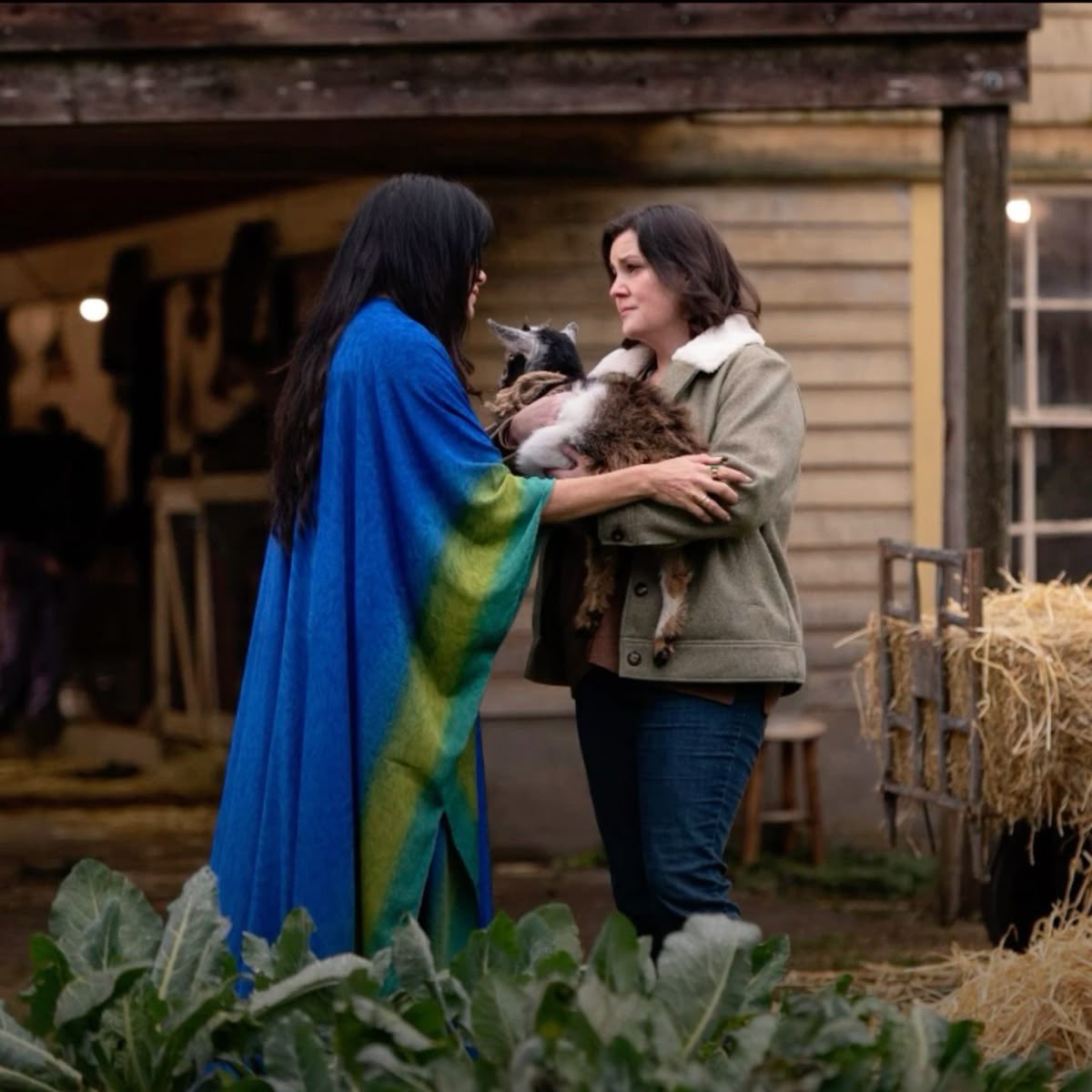 tinytypewriter's tweet photo. day 2 : our baby mini smau #shautieweek

a hookup turned into something else… when shauna announces her pregnancy months after a few flings with lottie things start to spin out of control 🐾 https://t.co/YyjiAQVENH