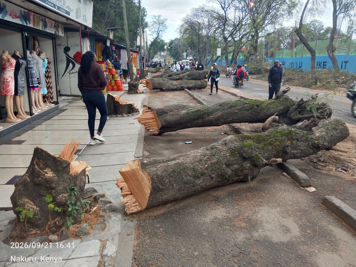 JamesWakibia's tweet photo. They are asking you to plant trees! https://t.co/x8CzsYadDc
