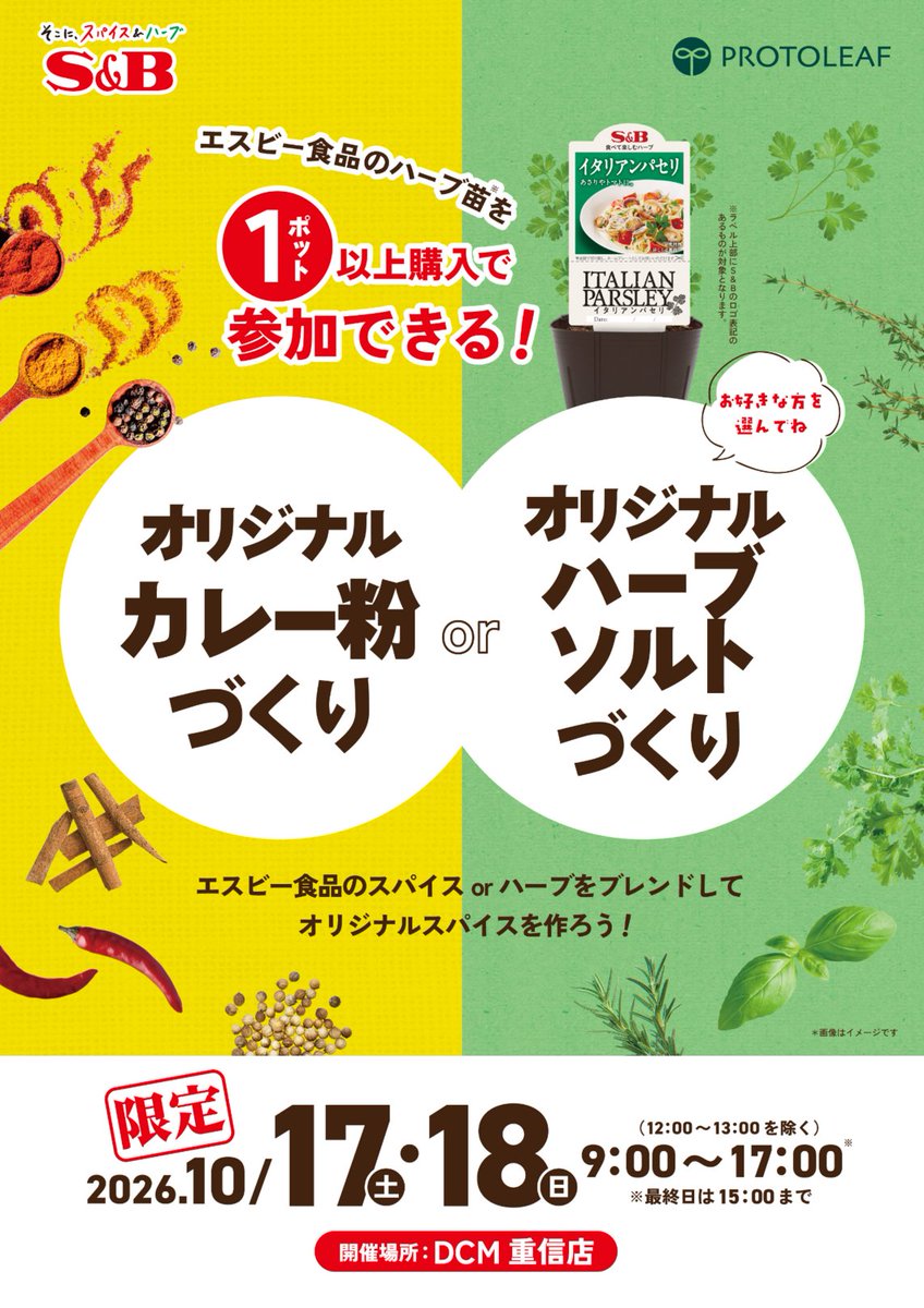 PROTOLEAF's tweet photo. ＼秋の園芸を楽しみましょう！／

10月17日と10月18日は「DCM 重信店」で
園芸まつりに参加しますっ！🍁

プロトリーフはエスビー食品さん(@sbfoods_jp)と一緒に
「オリジナルカレー粉づくりorオリジナルハーブソルトづくり」を開催します！🍛🌿
ハーブ苗を1ポット以上購入で参加できます✨

土・植物・栽培方法などのお悩みごとあれば、
ぜひお声がけください👂

#DCM重信店　#園芸まつり
