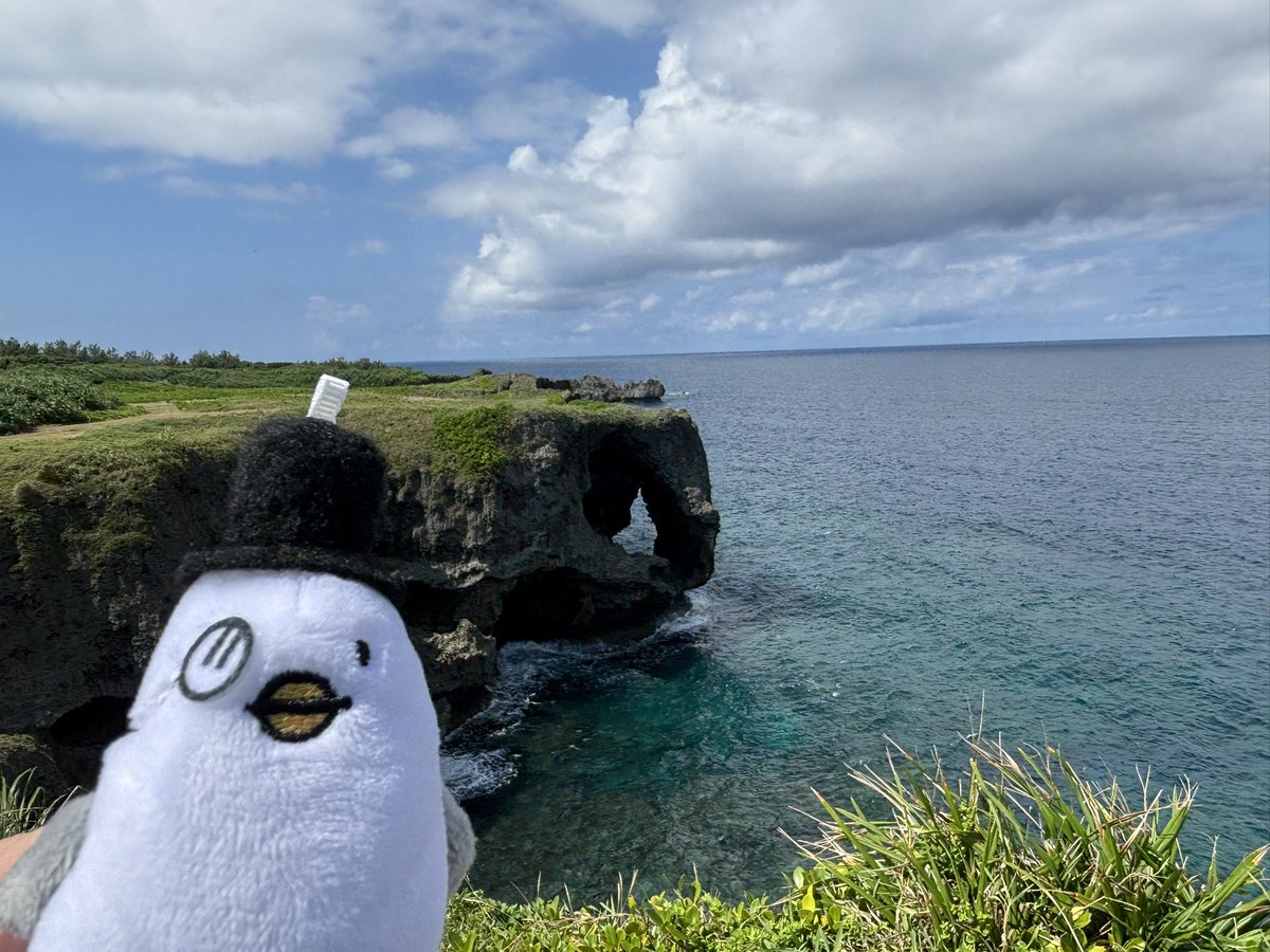 Lion89489's tweet photo. その2

#ハトソンくんとおでかけ https://t.co/Ys60RGl7bM