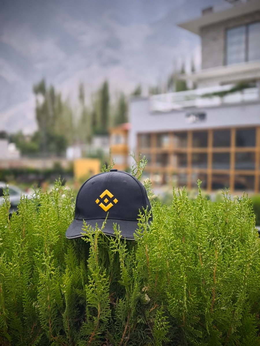 binance tweet picture