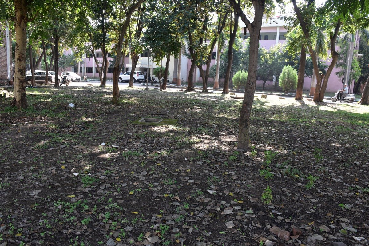 51Crpf's tweet photo. As part of #SpecialCampaign6 for institutionalizing Swachhata &amp; minimizing pendency, a cleanliness drive was conducted across the campus to create a clean, green &amp; healthy workplace environment.
Glimpses 📷 👇
@ignwscrpf
@crpfindia @HMOIndia @PIBHomeAffairs @PMOIndia @DARPG_GoI https://t.co/xJfAHOGmO0