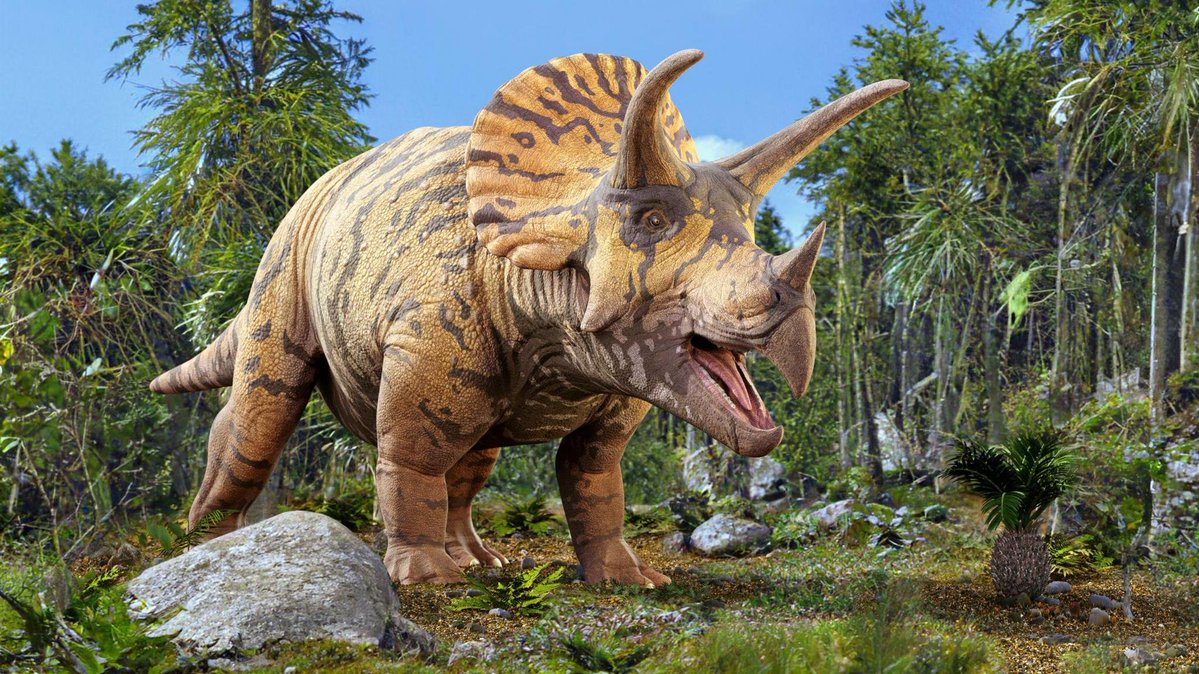 DewmieT's tweet photo. @QuirklessStoner A Triceratops-like (NOT DIABLOS) Monster to introduce a new kind of wyvern Bodytype to add variety to the dinosaur like monsters in the game, make it a rival to Deviljho while we are at it. https://t.co/8yS99HcKNh