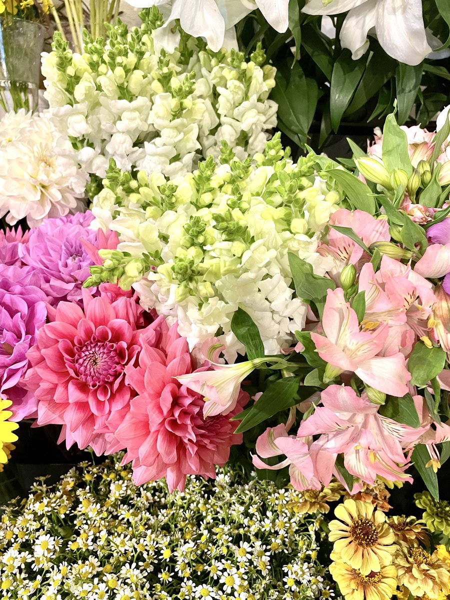 FlowerS48901380's tweet photo. 秋の色とりどりなお花が店内にがいっぱい✨秋らしい落ち着いた色のお花から、パッと明るくなるような華やかなお花まで、いろいろ揃っています😊季節のお花を取り入れて、おうち時間をちょっぴり華やかにしてみませんか？☺️ご来店お待ちしております🍁 #花屋 #近くの花屋 #水元
#季節のお花 #ハロウィン https://t.co/aoCEp17VKL
