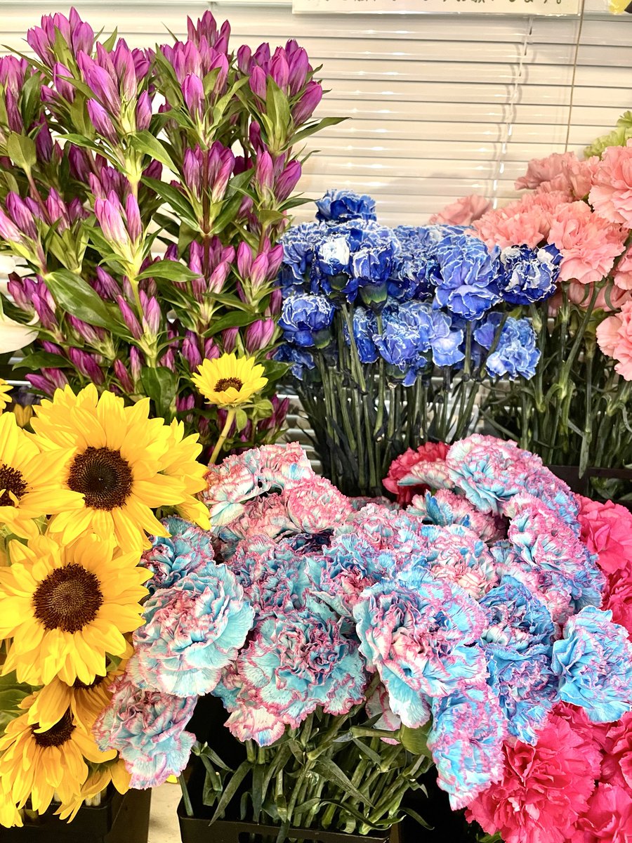 FlowerS48901380's tweet photo. 秋の色とりどりなお花が店内にがいっぱい✨秋らしい落ち着いた色のお花から、パッと明るくなるような華やかなお花まで、いろいろ揃っています😊季節のお花を取り入れて、おうち時間をちょっぴり華やかにしてみませんか？☺️ご来店お待ちしております🍁 #花屋 #近くの花屋 #水元
#季節のお花 #ハロウィン https://t.co/aoCEp17VKL