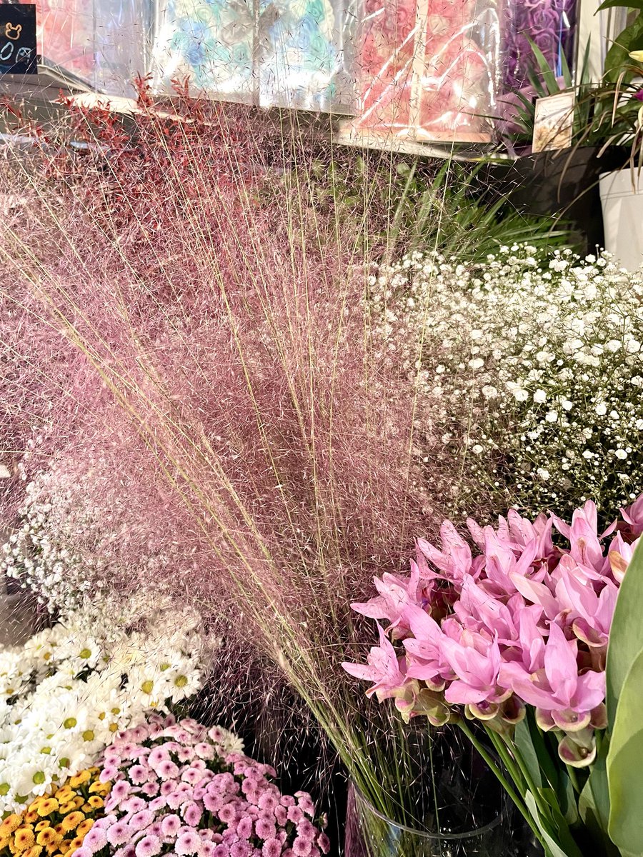 FlowerS48901380's tweet photo. 秋の色とりどりなお花が店内にがいっぱい✨秋らしい落ち着いた色のお花から、パッと明るくなるような華やかなお花まで、いろいろ揃っています😊季節のお花を取り入れて、おうち時間をちょっぴり華やかにしてみませんか？☺️ご来店お待ちしております🍁 #花屋 #近くの花屋 #水元
#季節のお花 #ハロウィン https://t.co/aoCEp17VKL