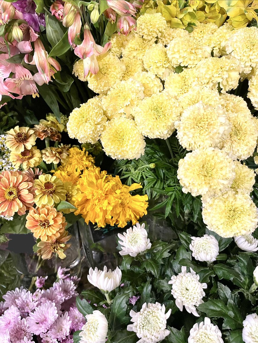 FlowerS48901380's tweet photo. 秋の色とりどりなお花が店内にがいっぱい✨秋らしい落ち着いた色のお花から、パッと明るくなるような華やかなお花まで、いろいろ揃っています😊季節のお花を取り入れて、おうち時間をちょっぴり華やかにしてみませんか？☺️ご来店お待ちしております🍁 #花屋 #近くの花屋 #水元
#季節のお花 #ハロウィン https://t.co/aoCEp17VKL