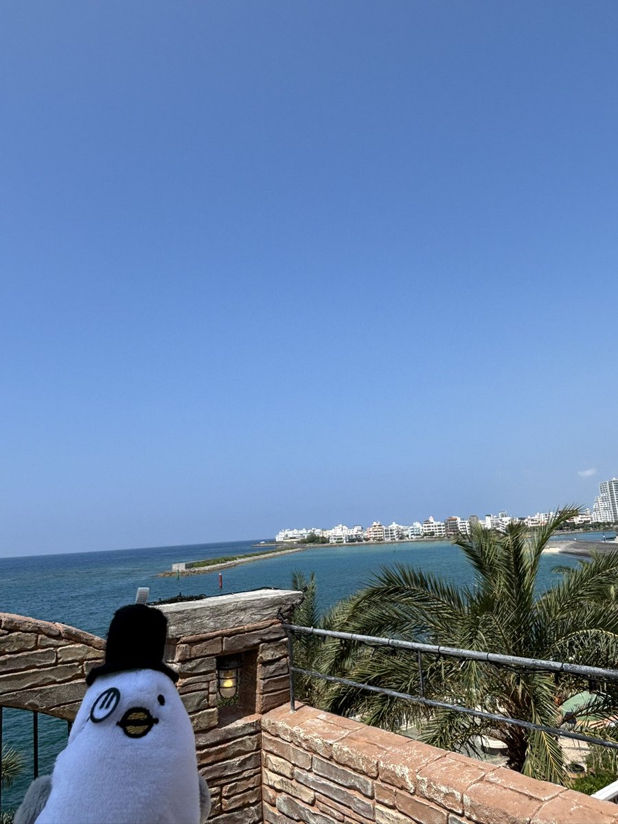 Lion89489's tweet photo. 先週沖縄行ってきたよん🌴

#ハトソンくんとおでかけ https://t.co/HBjJdQwgUH