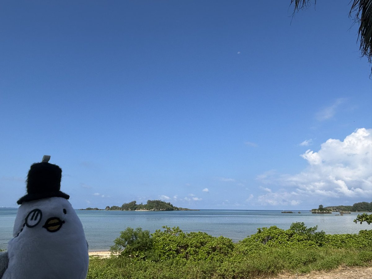 Lion89489's tweet photo. 先週沖縄行ってきたよん🌴

#ハトソンくんとおでかけ https://t.co/HBjJdQwgUH