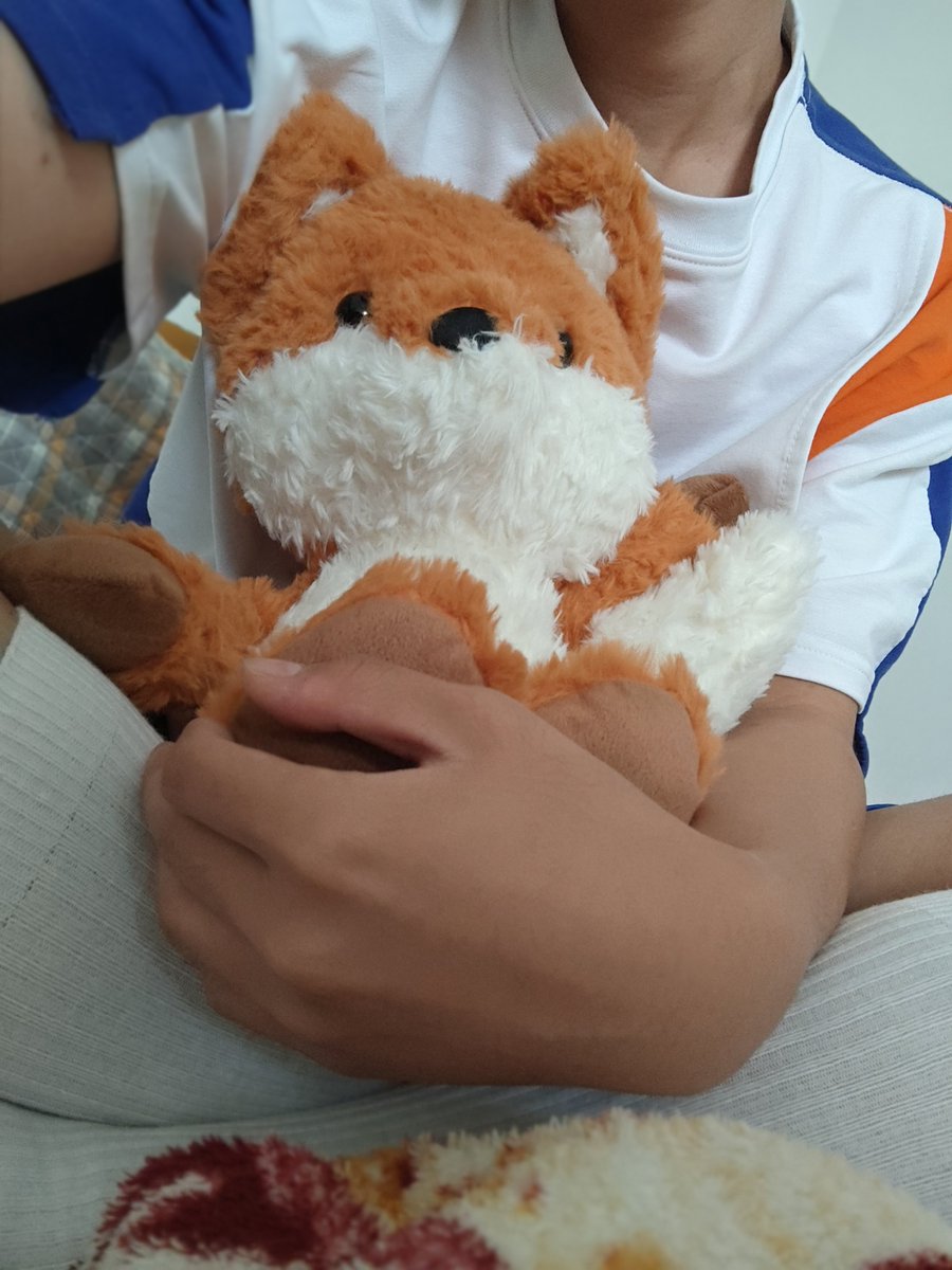 realJangoouFox's tweet photo. 我的狐狸真的很美😭 https://t.co/jvIAbjEXWW