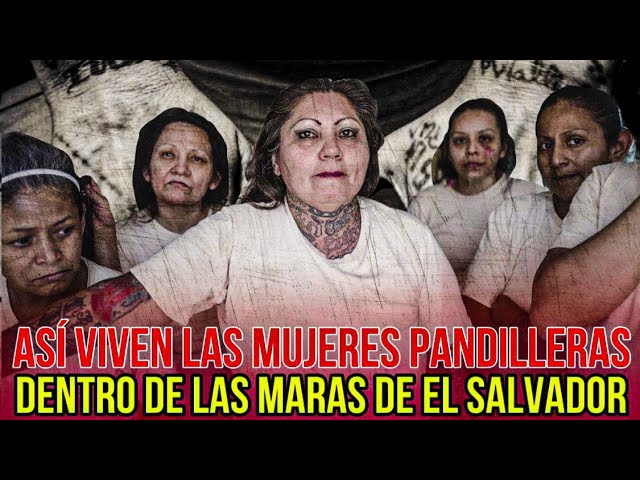 L30Onidas's tweet photo. @ArevaloRua94200 @Juanpablxguzman @migueldevuelta No sé cómo te da la cara de llamar mono a alguien jajaja que mundo generoso. El más alto mide 1.50 jajaja más primate que eso no hay.
 Las más guapas del salvador parecen monas afeitadas, ahí debe estar tu mamá no? Jajaja https://t.co/WVeAYnu0dr