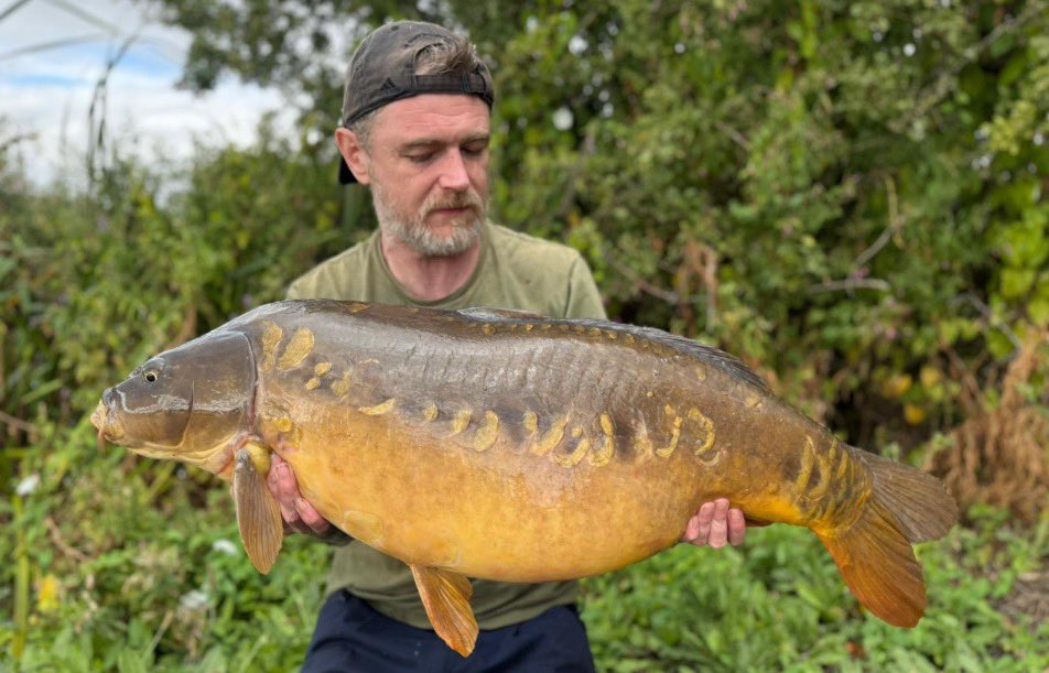 PukkaSquirrelB's tweet photo. One of Three for Lew Secret Smurf laced with Secret Oil Throwing Stick.
35 lb old original Manor Farm matching SS4 Wafter doing it πΏοΈ
https://t.co/9YmyQc6jDQ
#TeamPSB
#PukkaSquirrelBaits
#Pukka https://t.co/vSGAvPPUC6