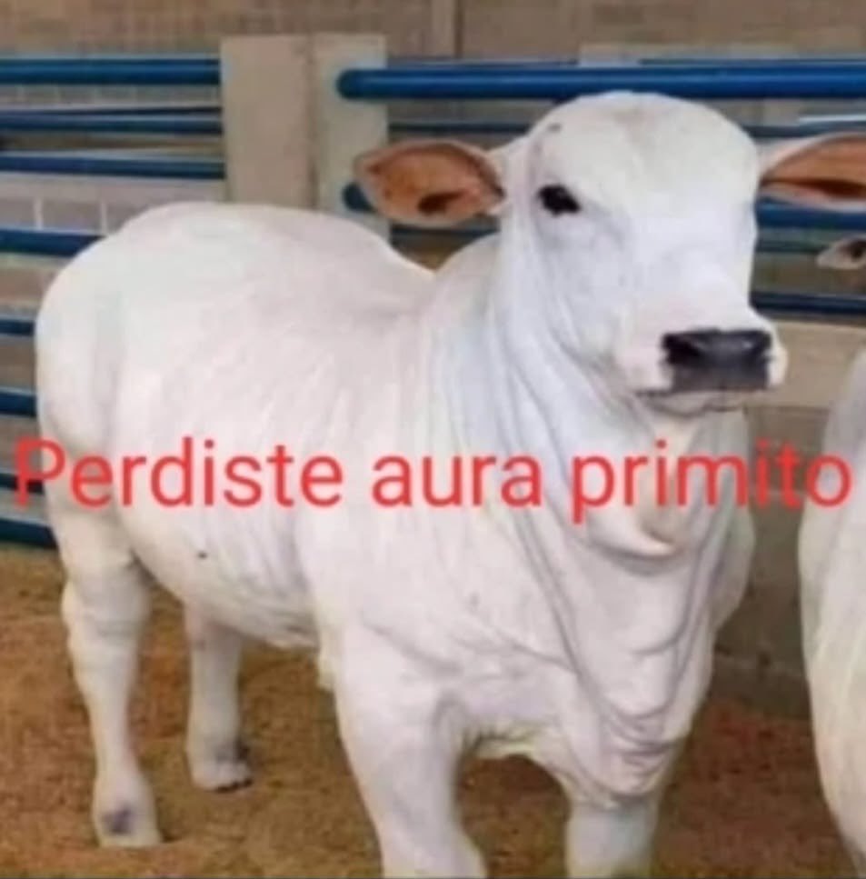 retrofuture's tweet photo. alch q ganas de quitarme la única paz que he tenido en años nomas por mamadas https://t.co/EVJXpC2DUL