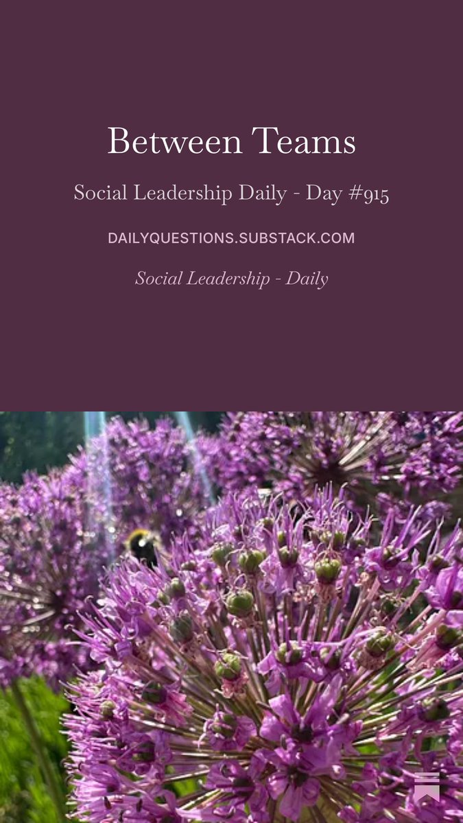 julianstodd's tweet photo. There is space between teams where nobody formally leads. It is Social Leadership, at the intersection of systems, that inhabits this space. Intertidal, liminal, at the boundary.

It is here that culture is negotiated.

Social Leadership Daily - Day #915.
https://t.co/OvYr8enGf2 https://t.co/ML7VRPkogD