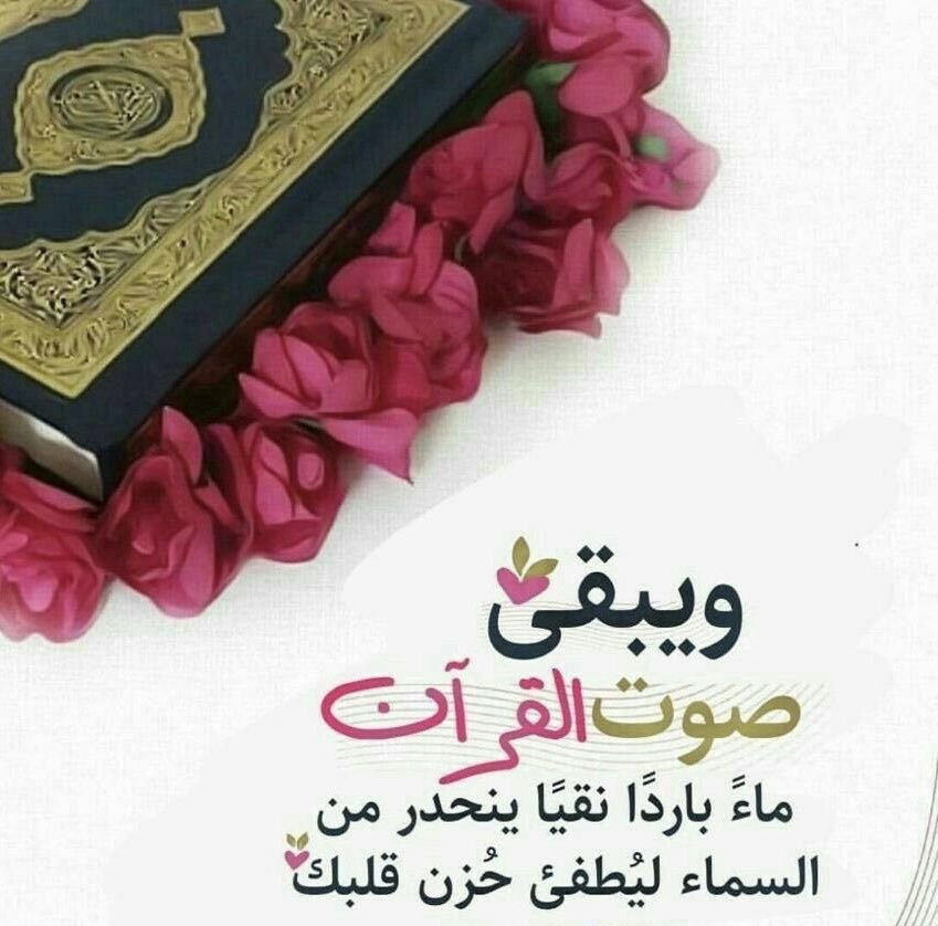 SHMOKMUSLMAH's tweet photo. https://t.co/qkykWxt9UR