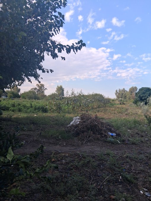 A rural landscape shows a pile of yard debris or brush in an open field with scattered vegetation, trees, and a partly cloudy sky overhead.