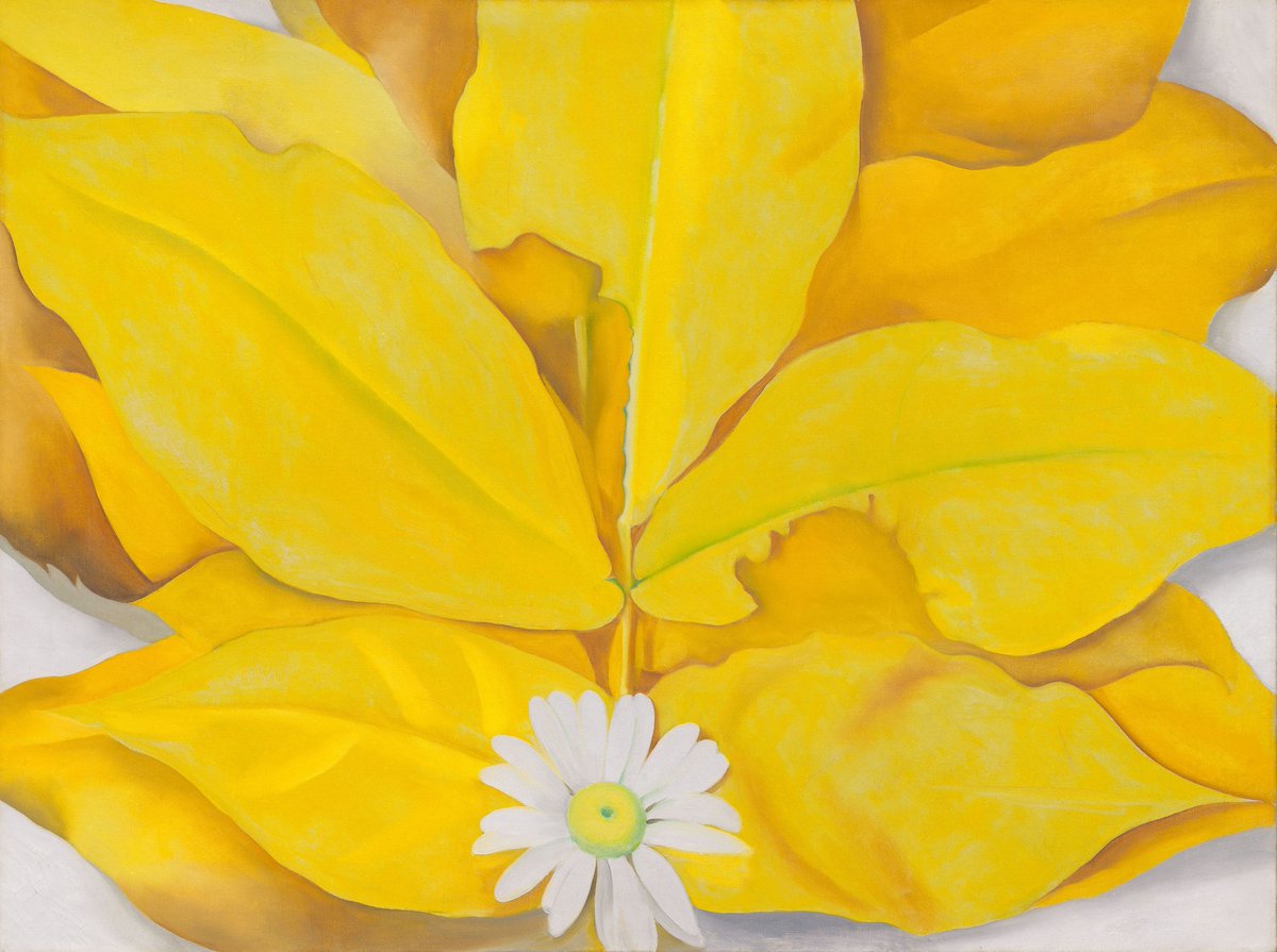 artistokeeffe's tweet photo. Yellow Hickory Leaves with Daisy #artbots #okeeffe https://t.co/TUFZ7eYjvQ