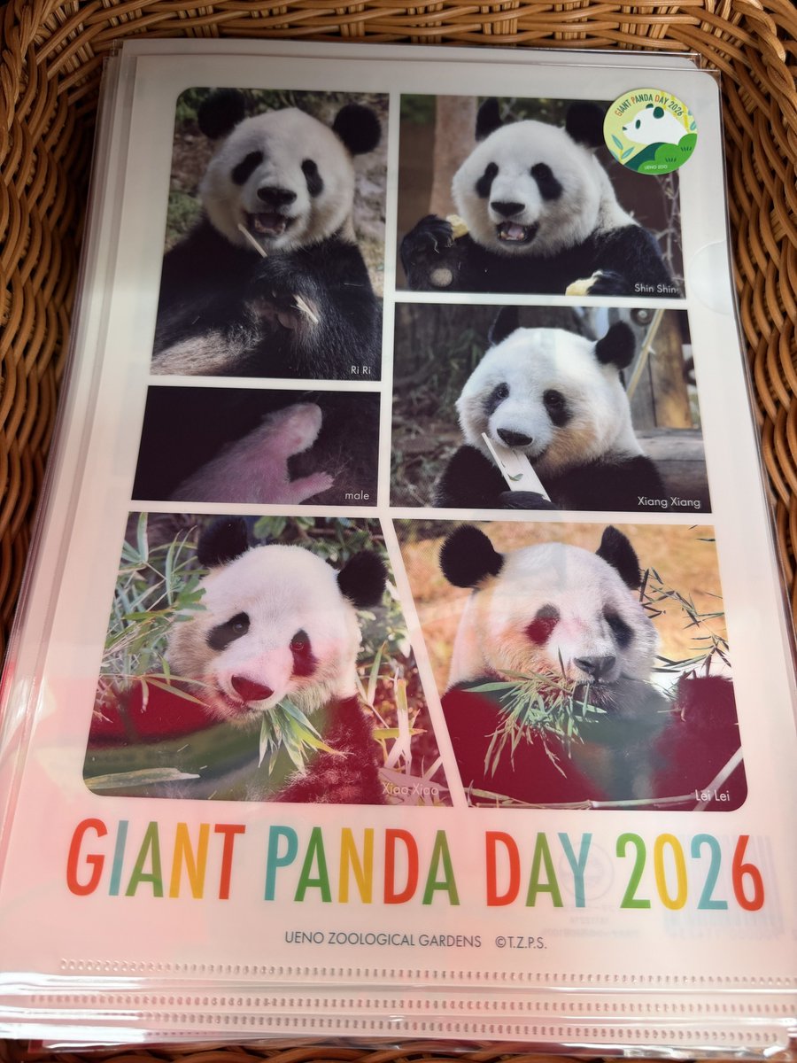 kedama_o_o's tweet photo. #上野動物園 #ジャイアントパンダの日 #uzoo_g 
2026-10-06
パンダの日記念グッズ。当然に一通り買ったけど、特に実写のグッズが超カワイイ。 https://t.co/hH1msOLaJ1
