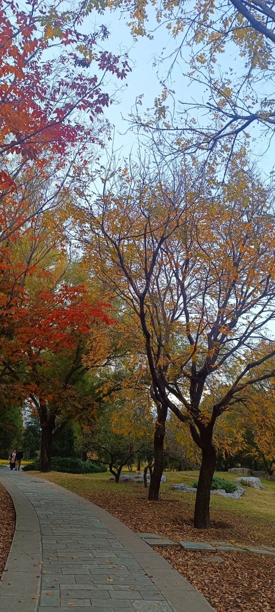 KeithContrdajr's tweet photo. [In Yongnan, the autumn scenery is so charming, every view here is worth sharing!]， https://t.co/kvL7PaThRh