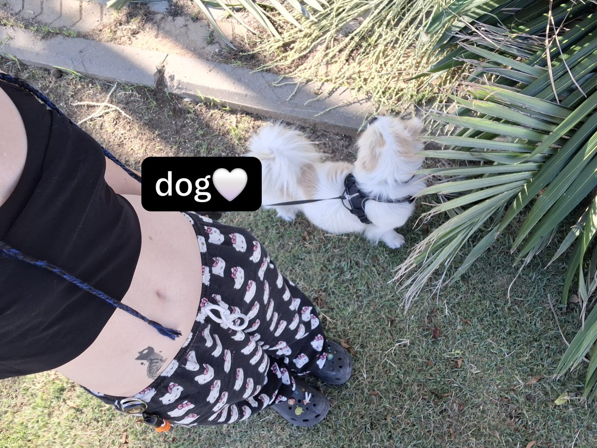 ticklethatspot's tweet photo. perks of having a dog btw 6k steps at 9am https://t.co/I9m1SM4Sqo