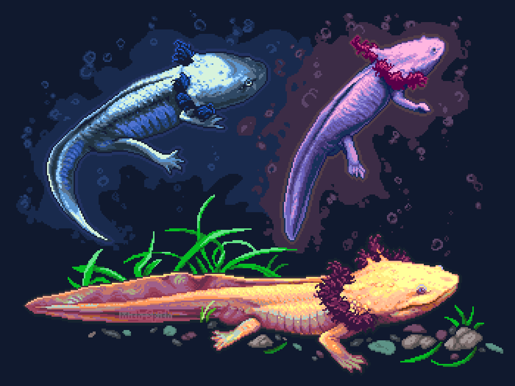 MichSpich's tweet photo. Animal studies https://t.co/rU4AOVeybw
