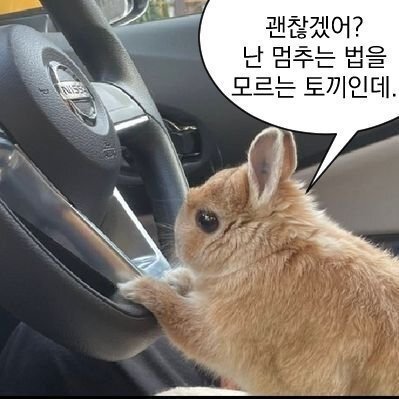 N_yejun's tweet photo. 내 베리즈가 계산 없이 배짱으로 밀어 부치는 승부사래;; https://t.co/5DlOygaq1p