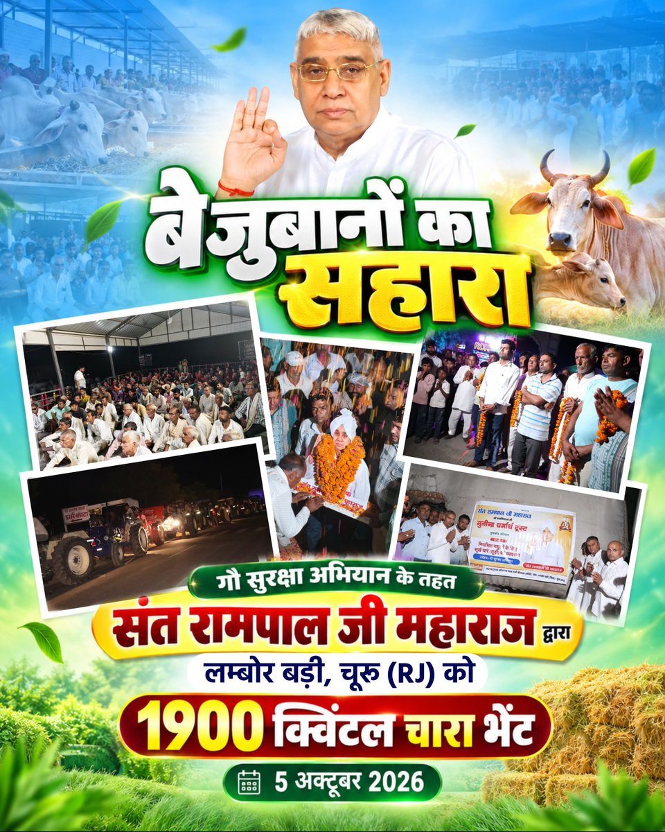 SatlokChannel's tweet photo. बेजुबानों का सहारा गौ सुरक्षा अभियान के तहत संत रामपाल जी महाराज द्वारा लम्बोर बड़ी, चूरू (RJ) को 1900 क्विंटल चारा भेंट | 5 अक्टूबर 2026 https://t.co/YZYHPVrLju