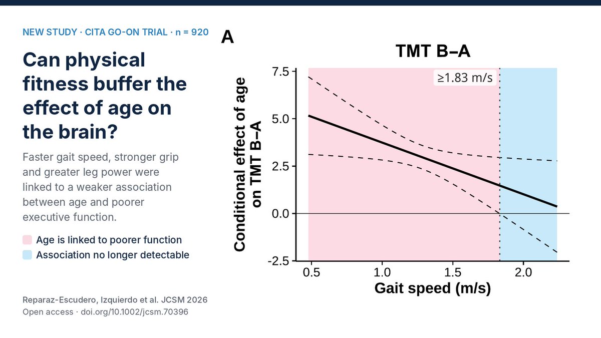 mikelizquierdo_'s tweet photo. 🏋️‍♂️🏃📢 Can physical fitness buffer the effect of age on the brain?

In 920 older adults at elevated dementia risk (CITA GO-ON trial), faster gait speed, stronger grip and greater leg power were associated with a weaker age–executive function link, independent of SES, depression, BMI and cardiometabolic factors. Gait speed was the most consistent marker.

Cross-sectional, and the Johnson-Neyman thresholds are sample-specific, not clinical cut-offs. Longitudinal studies are needed.

📄 Open access in #JCSM: https://t.co/1qPTjeumUJ

#Ageing #Dementia #ExecutiveFunction #GaitSpeed #Sarcopenia #ExerciseIsMedicine @DementiaUK @DementiaAus @raulmarcus @CIBER_ISCIII @EricTopol