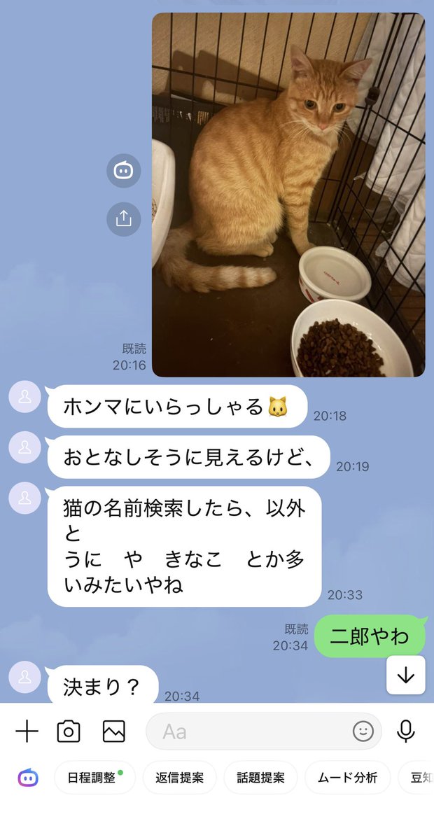 momomaru_g's tweet photo. 昨夜の夫くんとのLINE https://t.co/5zhOGFg8ZL