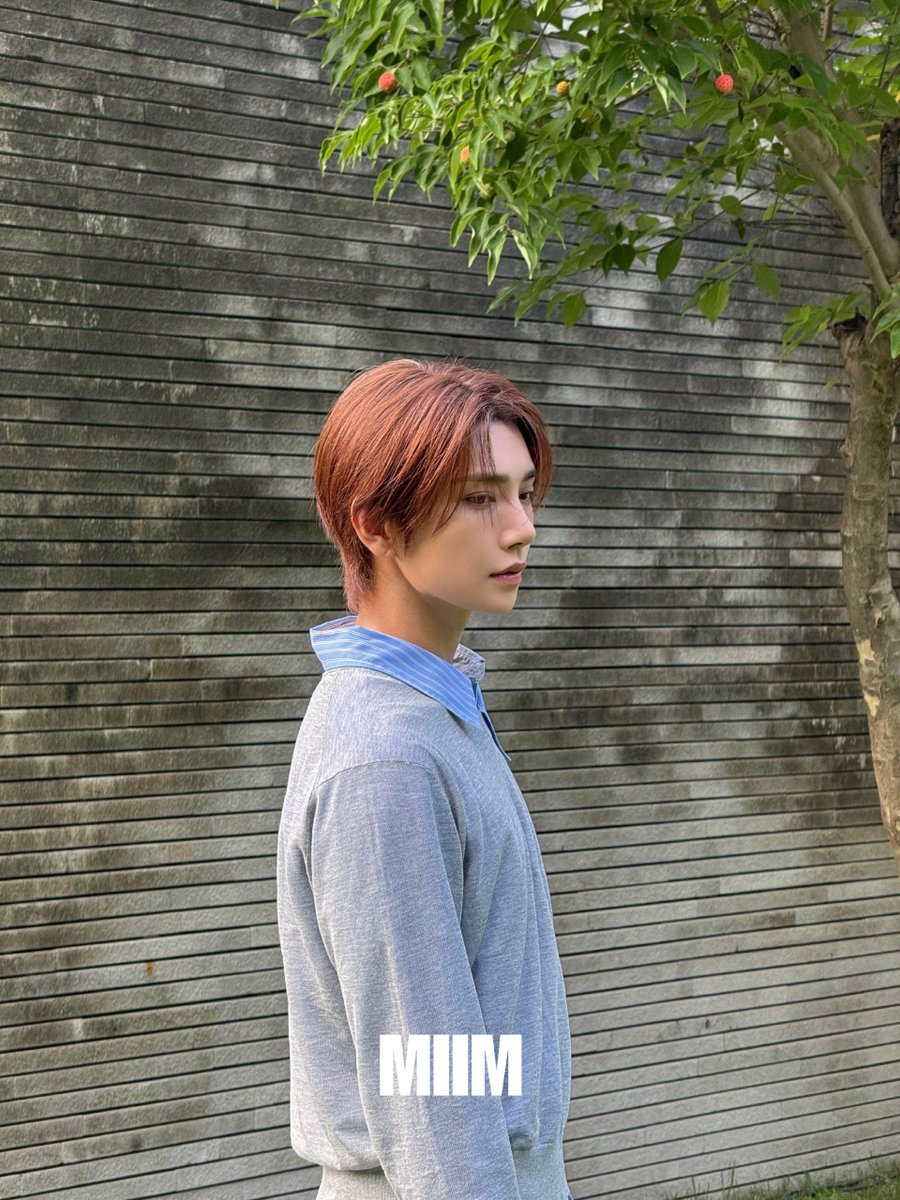 hjszones's tweet photo. 261006 myidol_miim and koreadispatch ig update with joshua sharing exclusive photos from dreamscape! #조슈아 https://t.co/zqtsrI7W0b