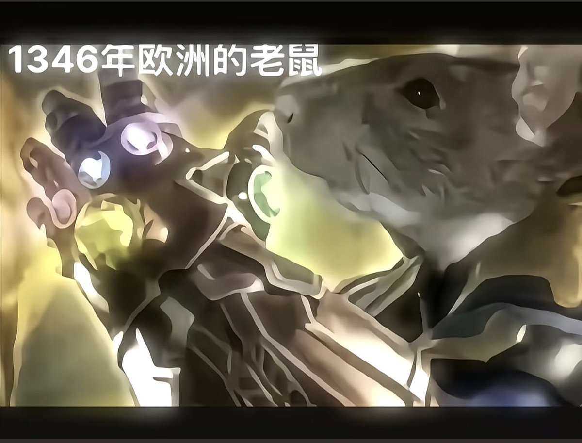 Suahpim's tweet photo. 问：“中世纪1346年黑死病（鼠疫）最后是怎么被控制住的？”
A:国家颁布可行政策
B:人们进化出抗体
C:人们研究出了疫苗
D:老鼠暴力清图太快导致没有传染源
答：“😃……这道题总不能选D吧….”
…. https://t.co/XldcsP0gtS