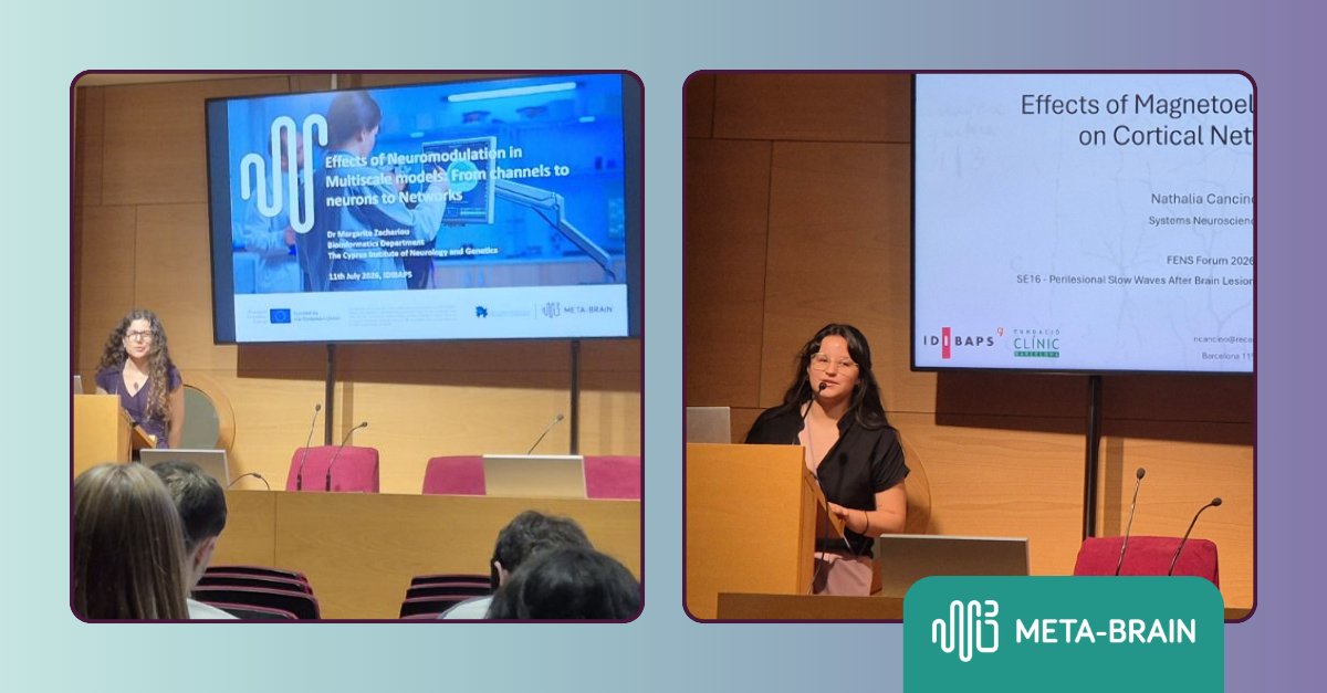 MetaBrain_EU's tweet photo. 🧠 #METABRAIN_EU research took the spotlight in Barcelona!

🔬 Contributions from @idibaps, @ETH_en, @IeiitC and @NeuroGeneticsCy showcased advances in #BrainStimulation, #Nanotechnologies &amp; #Neuromodulation at a #FENS2026 Satellite Event.

🔗 Read more: https://t.co/Ulxyg8lIqp https://t.co/FE81Y4MfhY
