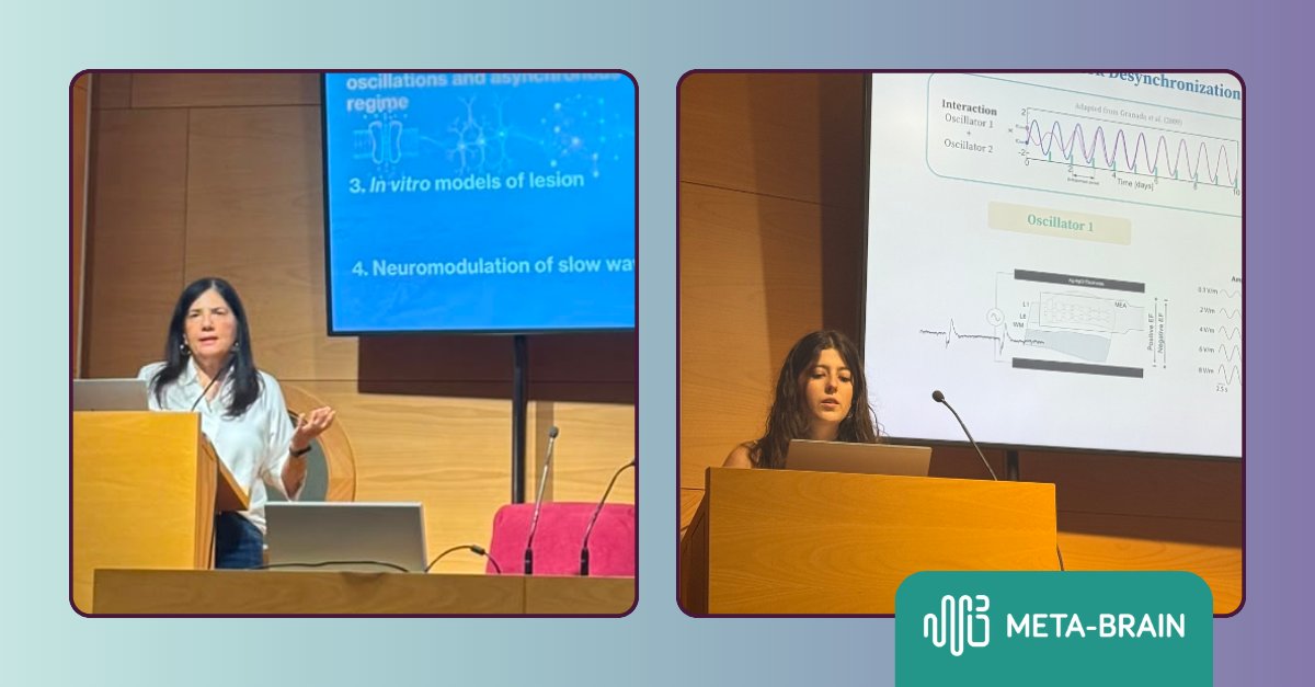 MetaBrain_EU's tweet photo. 🧠 #METABRAIN_EU research took the spotlight in Barcelona!

🔬 Contributions from @idibaps, @ETH_en, @IeiitC and @NeuroGeneticsCy showcased advances in #BrainStimulation, #Nanotechnologies &amp; #Neuromodulation at a #FENS2026 Satellite Event.

🔗 Read more: https://t.co/Ulxyg8lIqp https://t.co/FE81Y4MfhY