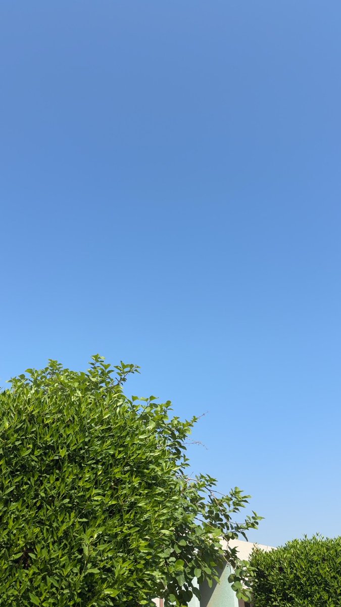 _RoRiie's tweet photo. انتي ومن عقبك يتوب الآدمي توبـة نصوح
ما عاد يامل فـ الوجيه البيـض وجهٍ يعجبه . https://t.co/OnkjTTVAkn