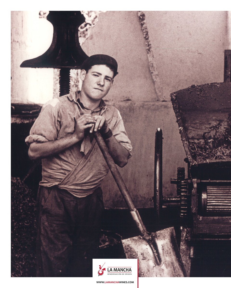 LaMancha_Wines's tweet photo. Memories of the grape harvests of the past… ❤️🍇

#DOLaMancha #Wine #LaMancha #Wines #Spain #WinesFromSpain

Drink responsibly. Alcohol abuse is dangerous to your health.
Content exclusively for people of legal age. Do not share with anyone under the legal age. https://t.co/yq10OJCUPk