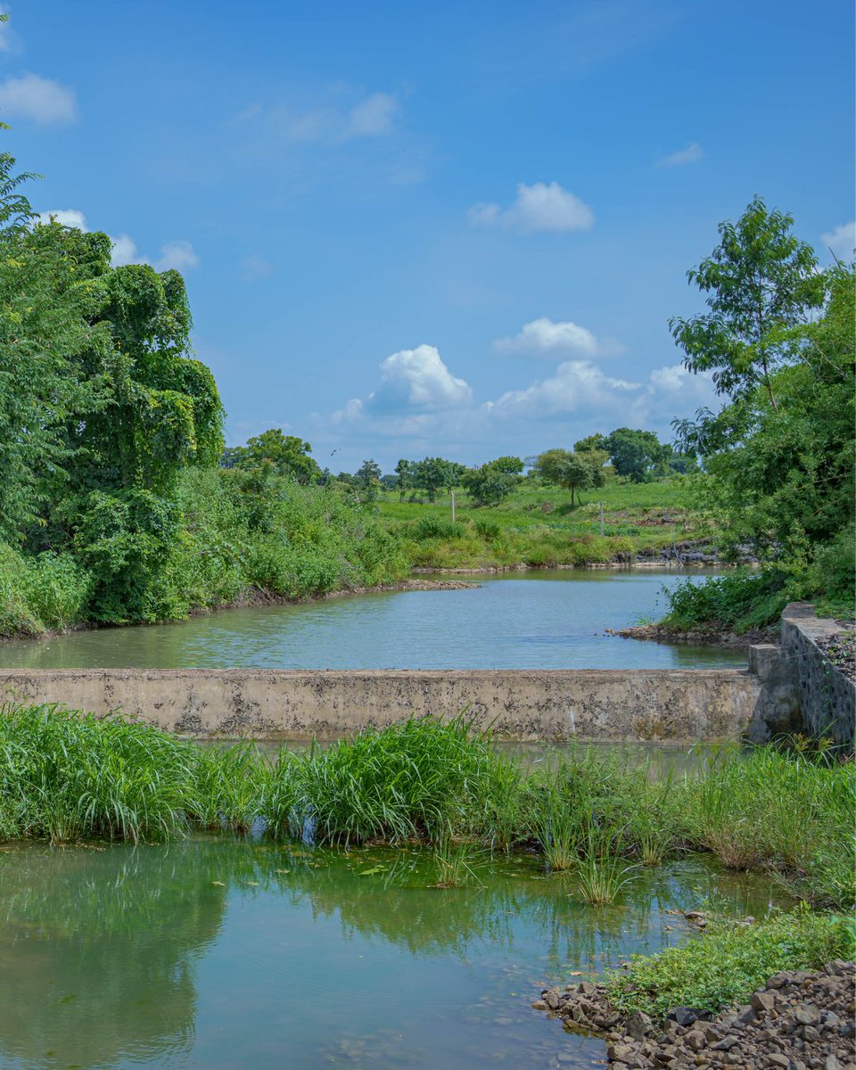 WOTRIndia's tweet photo. In 2025, a Cement Nala Bund's repair in Badalgaon, Karnataka, added 1.5 million litres of storage capacity for the community. 

With water availability now, Govind, a local resident has expanded from crops into horticulture and vegetable cultivation! https://t.co/PUBJ4rL74O