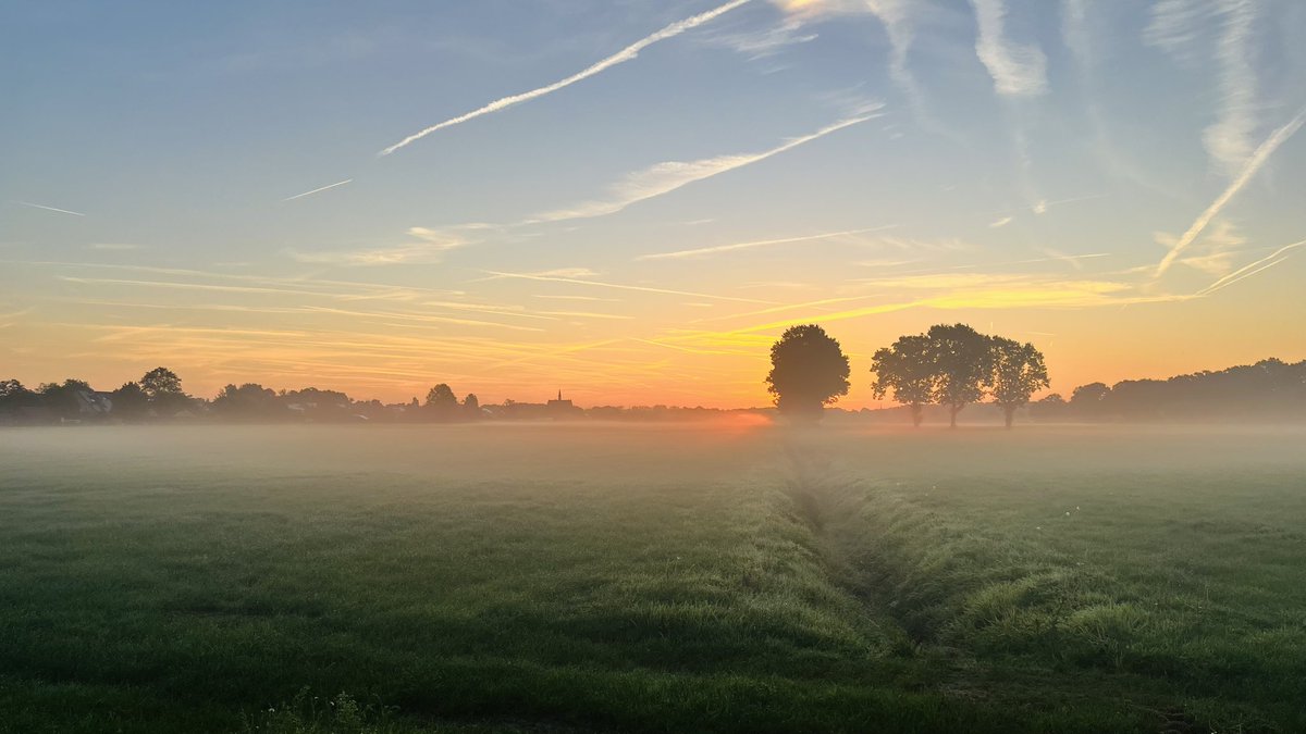 PeterMeisters tweet picture