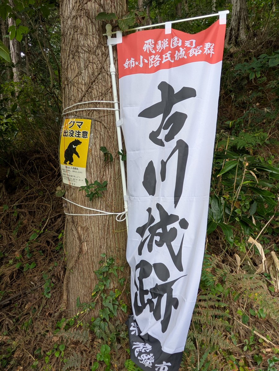 aki04053's tweet photo. 日曜日ハ久しぶりに城活
飛騨古川の古川🏯と高山陣屋 https://t.co/T8Omi6p4y1