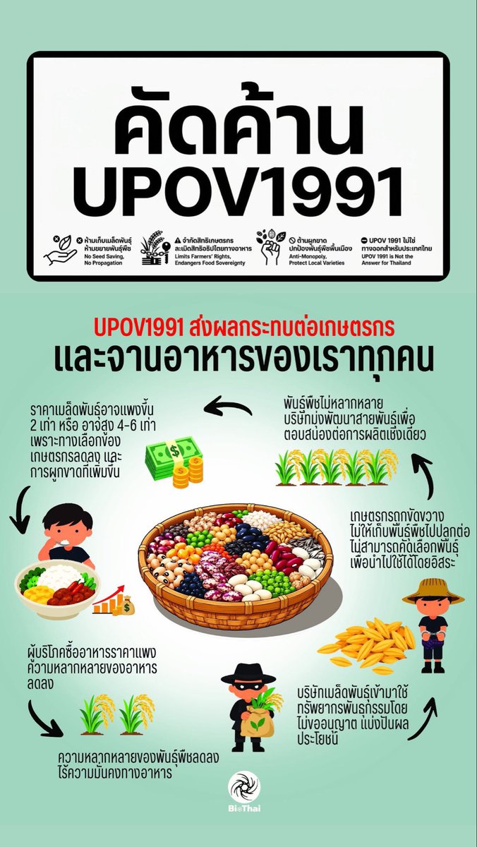 64sehun7's tweet photo. ขอบคุณมาเบลที่เป็นกระบอกเสียงในการคัดค้าน อนุสัญญา “UPOV1991” ซึ่งส่งผลต่อเกษตรกรและผู้บริโภคทุกคนค่ะ

📥 ลงชื่อ “ ไม่เห็นด้วย ” ที่นี่เลยค่ะ
🔗 https://t.co/GXm8j2TwTC

#UPOV1991 #คัดค้านUPOV1991
#Mabelz_PiXXiE https://t.co/HJ3OFcZfLh