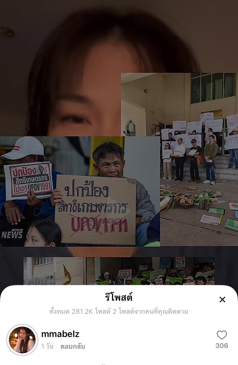 64sehun7's tweet photo. ขอบคุณมาเบลที่เป็นกระบอกเสียงในการคัดค้าน อนุสัญญา “UPOV1991” ซึ่งส่งผลต่อเกษตรกรและผู้บริโภคทุกคนค่ะ

📥 ลงชื่อ “ ไม่เห็นด้วย ” ที่นี่เลยค่ะ
🔗 https://t.co/GXm8j2TwTC

#UPOV1991 #คัดค้านUPOV1991
#Mabelz_PiXXiE https://t.co/HJ3OFcZfLh