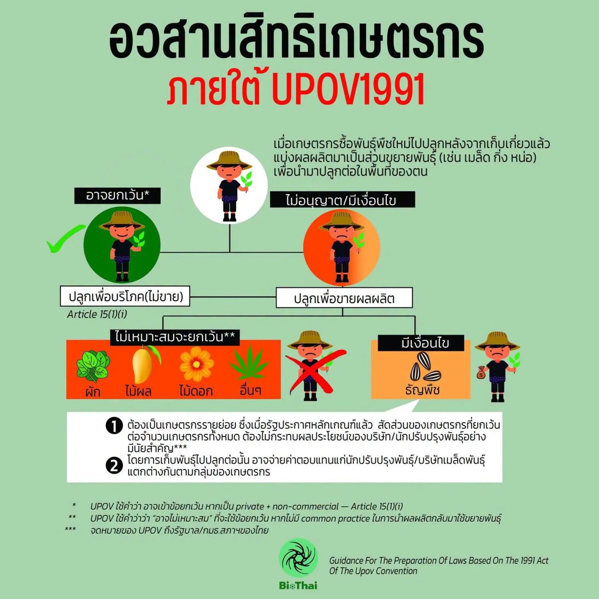 64sehun7's tweet photo. ขอบคุณมาเบลที่เป็นกระบอกเสียงในการคัดค้าน อนุสัญญา “UPOV1991” ซึ่งส่งผลต่อเกษตรกรและผู้บริโภคทุกคนค่ะ

📥 ลงชื่อ “ ไม่เห็นด้วย ” ที่นี่เลยค่ะ
🔗 https://t.co/GXm8j2TwTC

#UPOV1991 #คัดค้านUPOV1991
#Mabelz_PiXXiE https://t.co/HJ3OFcZfLh