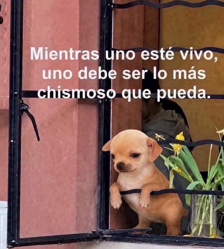 Springfield2030's tweet photo. Ya vine. https://t.co/bV4cUwHvsb